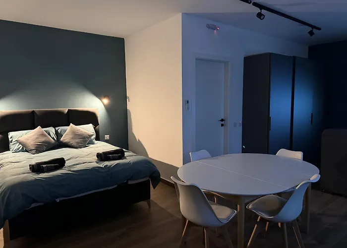 Modern In Pensiune Victoria